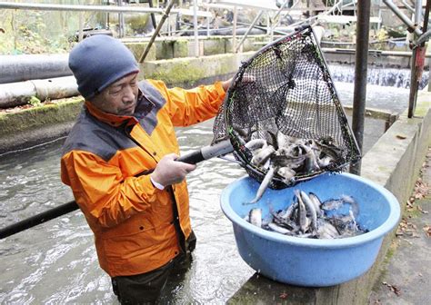 角掛養魚場